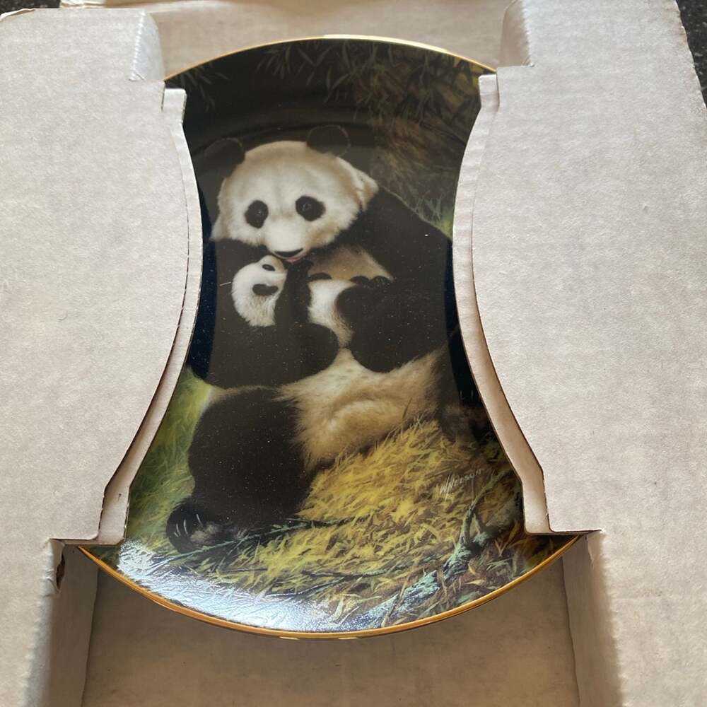 The Panda by Will Nelson
